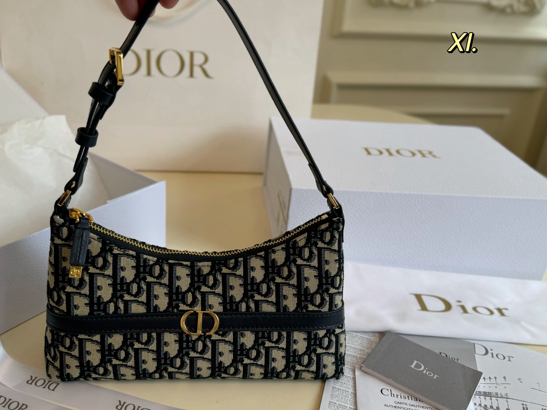DIOR bag 01